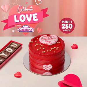 Valentine's Day Cake (MINI1)