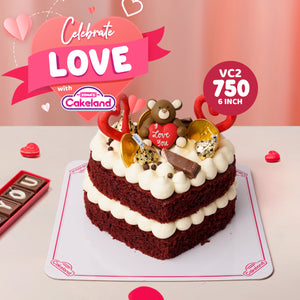 Valentine's Day Cake (VC2)