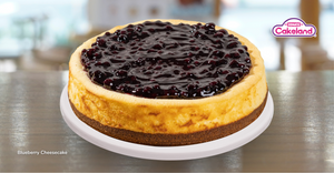 BLUEBERRY CHEESECAKE