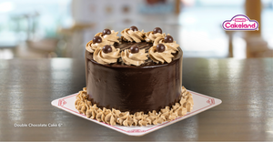 DOUBLE CHOCOLATE CAKE